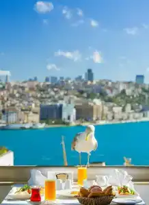 Legacy Ottoman - 30
