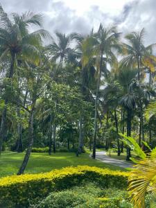 One&Only Le Saint Géran, Mauritius - 88