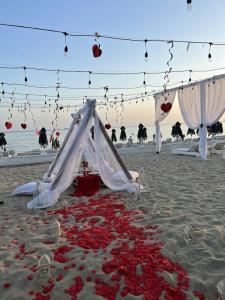 Adriatik, BW Premier Collection - 10