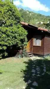 Ayris Çıralı - 34