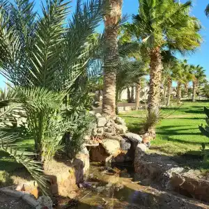 Hurghada Coral Beach - 35
