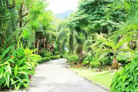 Baan Vanida Garden Resort - 2