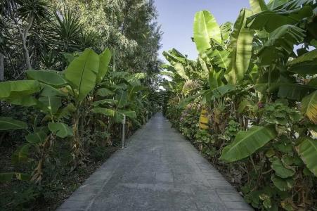 Irene Palace Beach Resort - 9