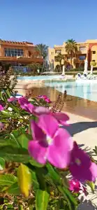 Rehana Royal Beach Resort - Aquapark & Spa - Family & Couples Only - 48