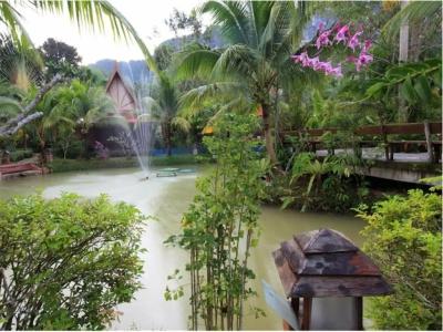 Green View Village Resort - SHA Plus - 46