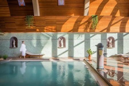 NaturMed Carbona - 66