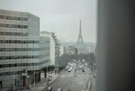 Mercure Paris Gare Montparnasse TGV - 4