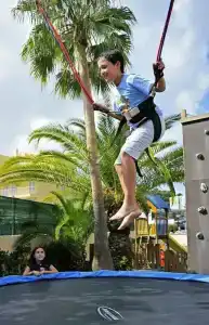 Sol Palmanova Mallorca - 39