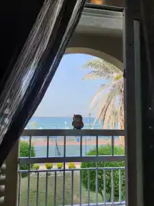 Sharjah Carlton - 67