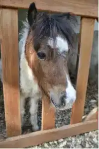 Gloria Golf Resort - Kids Concept - 87