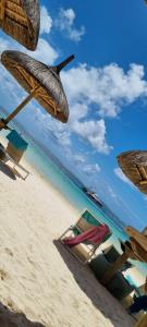 Veranda Palmar Beach & Spa - All Inclusive - 49