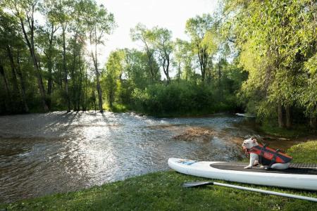 The Little Nell - 78