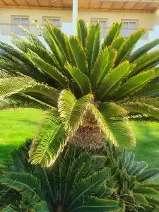 Dahab Lagoon Club & Resort Ex Tirana Dahab - 55