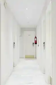 Toboso Chaparil - 97