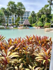 Naithonburi Beach Resort - SHA Extra Plus - 41