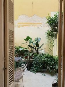 Shila Athens - 57