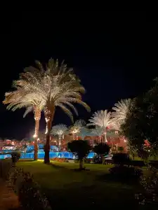 Caribbean World Resort Soma Bay - 5