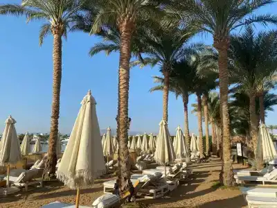 Sunrise Tucana Resort -Grand Select - 8