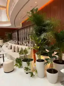 The Abu Dhabi Edition - 52