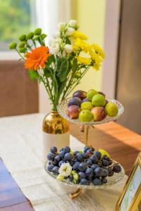 Apart M.S. KATUNJANIN - 41