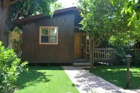 Caretta Caretta Pension - 29