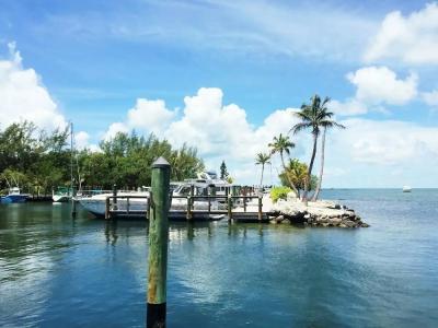 Banana Bay Resort & Marina - 42