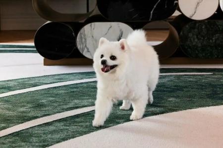 Paris Marriott Opera Ambassador - 13