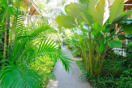 Bangtao Village Resort - SHA - 40