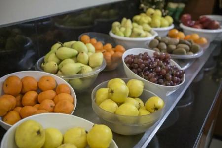 Palan Ski & Convention Resort - 29