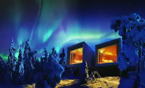 Arctic TreeHouse - 4