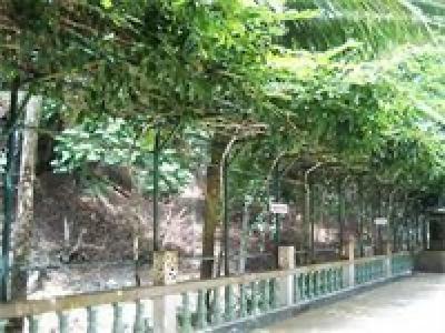 Ratana Hill - 44