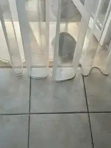 Sami Beach- All Inclusive - 83