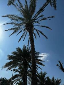 Golden Sands & Residences - 89