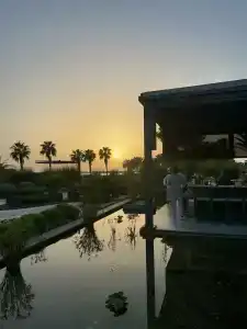 Paloma Finesse Side - 47