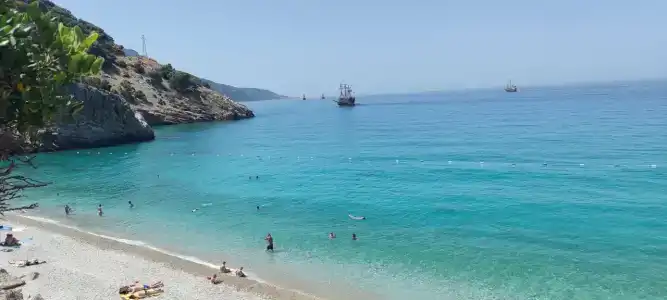 Beyaz Yunus - Adult Only - 41