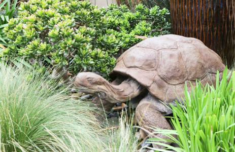 Best Western Plus South Coast Inn - 30