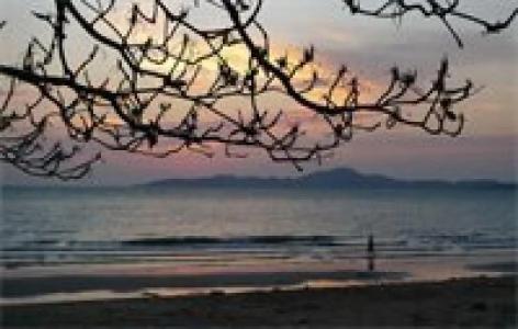 Birds and Bees Resort - 12