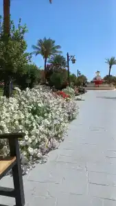 Caribbean World Resort Soma Bay - 66