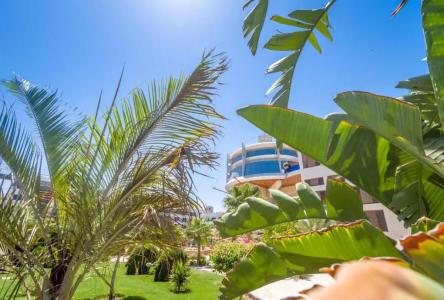 Seagull Beach Resort - Families and Couples Only - 70