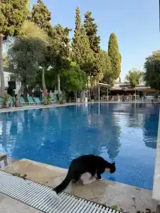 Bitez Garden Life - 49