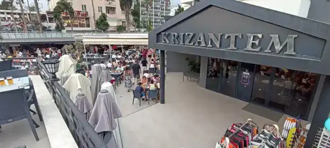 Kaila Krizantem - 81