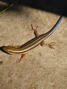 Mirage Bay Resort & Aqua Park - 73