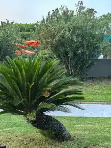 Kimeros Park Holiday Village - Ultra All Inc. Kids Concept - 57