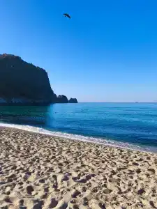 Kleopatra Atlas - Adults Only - 88