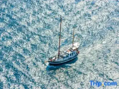 Grecotel Kos Imperial - 15