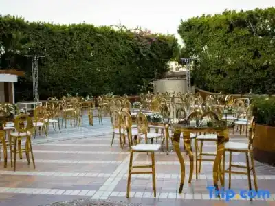 Sonesta Tower & Casino Cairo - 21