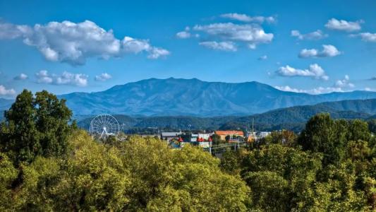 Music Road Resort and Inn - 63