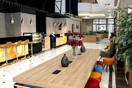 Ramada Encore By Wyndham Istanbul Basin Express - 38
