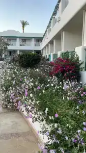 Novotel Sharm El-Sheikh - 16