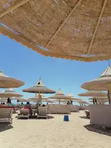 The Grand Resort - 97